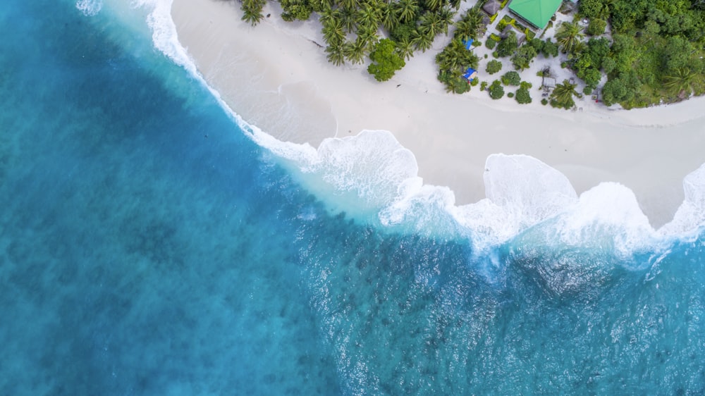 Aerial view of a tropical beach with waves